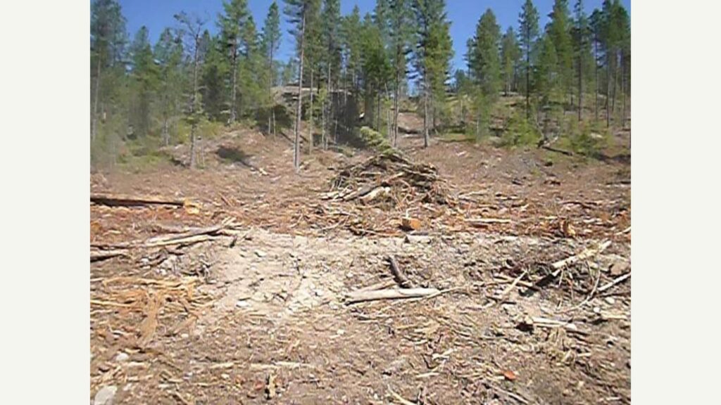 clearcut in the kettle river watershed
