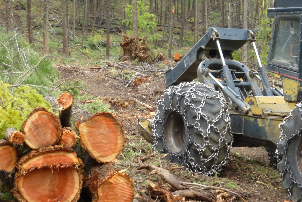 Logging equipment in the Kettle River watershed in an industrial forestry clearcut